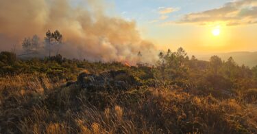 536104917 708760222221323 8808253496903980973 N