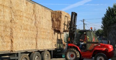 536278696 1212201710938085 5723948403277846569 N