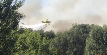 536280205 10231437392144723 8122901062051366186 N