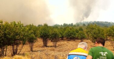 536819431 18141948799413339 639006026670093782 N