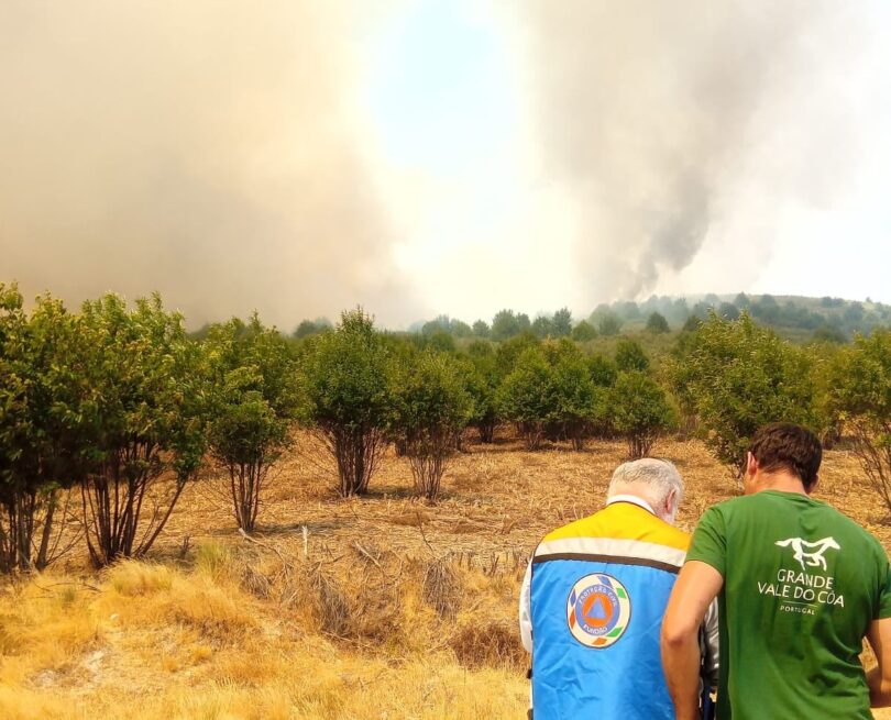 536819431 18141948799413339 639006026670093782 N