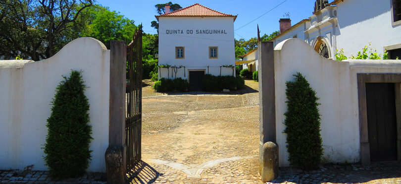 Entrada Sanguinhal