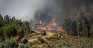 Img 1300x732uu2025 08 19 08 06 36 2230013