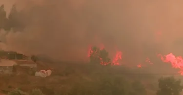 Img 900x560uu2025 08 21 16 30 51 507834