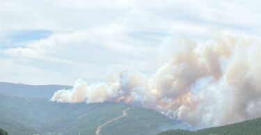 546237033 1239119378256897 2458693689905491486 N