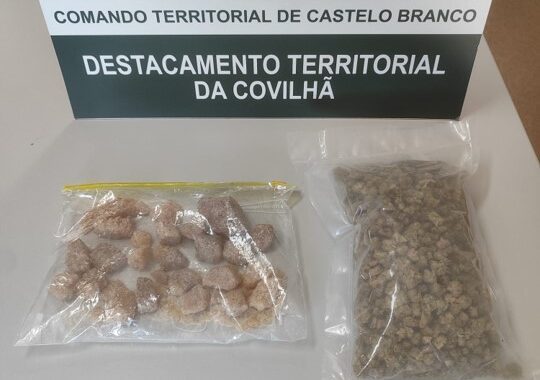 556458335 1139598015015465 7669903170416853585 N