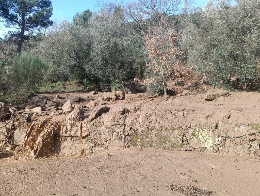 Circulação na estrada municipal 556 (Mizarela) retomada