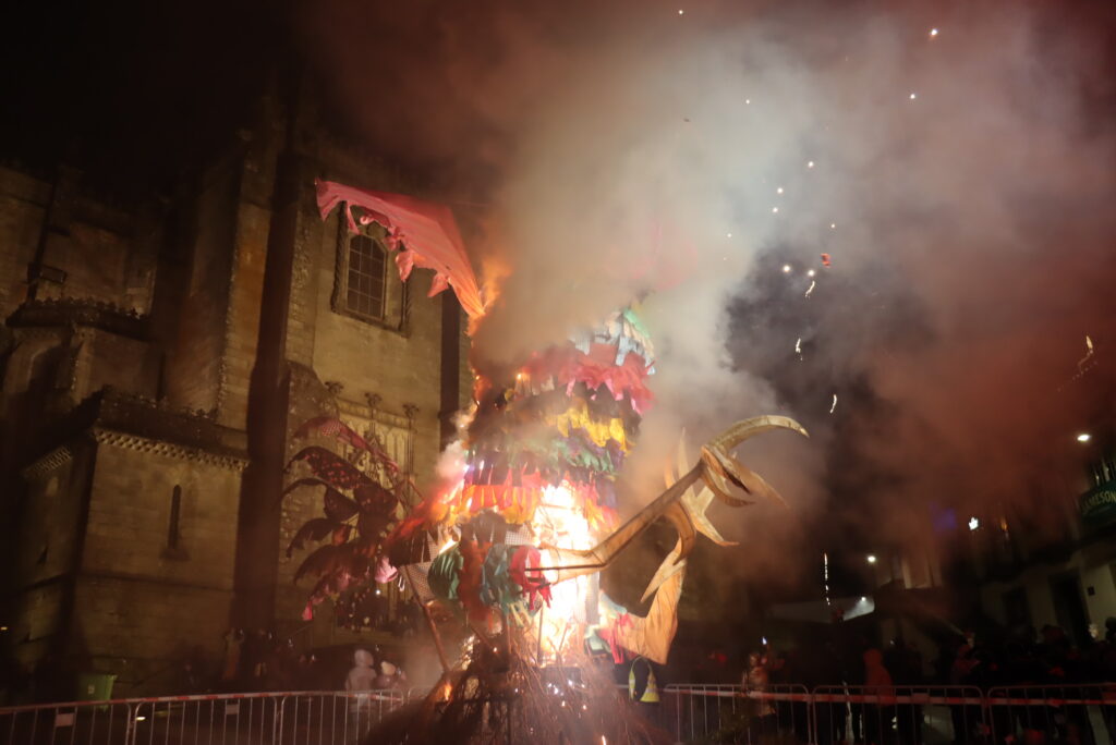 Galo já foi julgado na Guarda