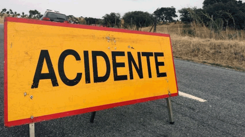 Condutor embate contra javali na A25