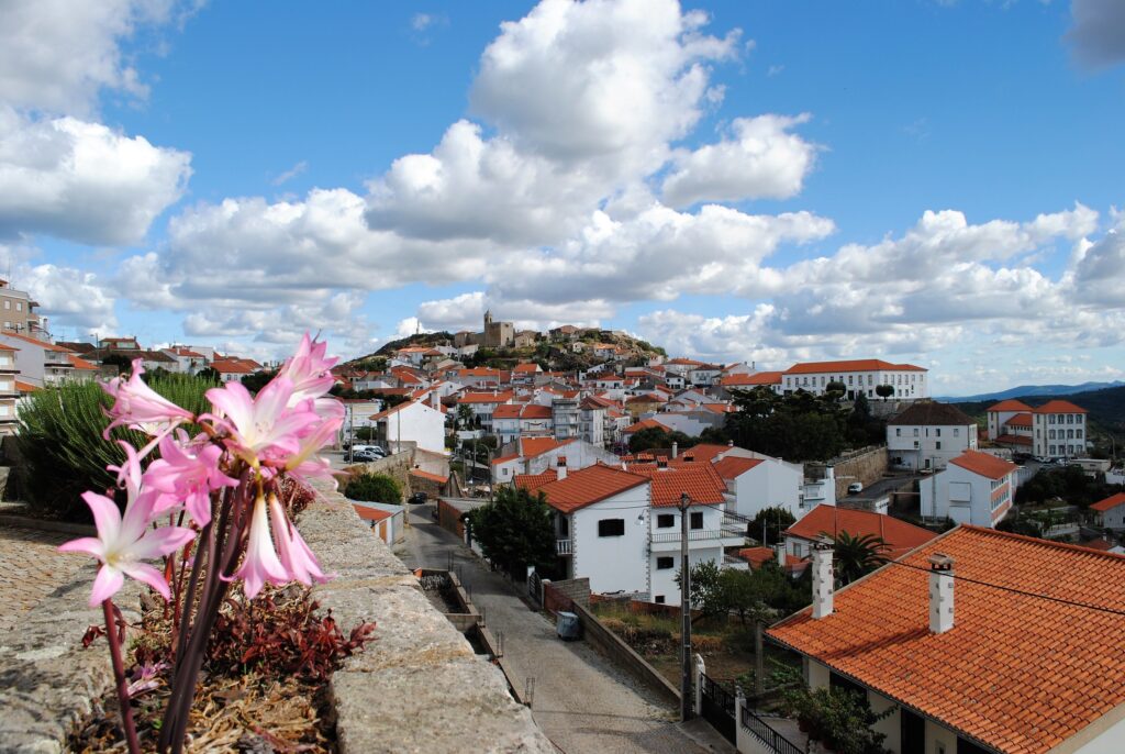 Penamacor investe mais de dois milhões de euros em habitação