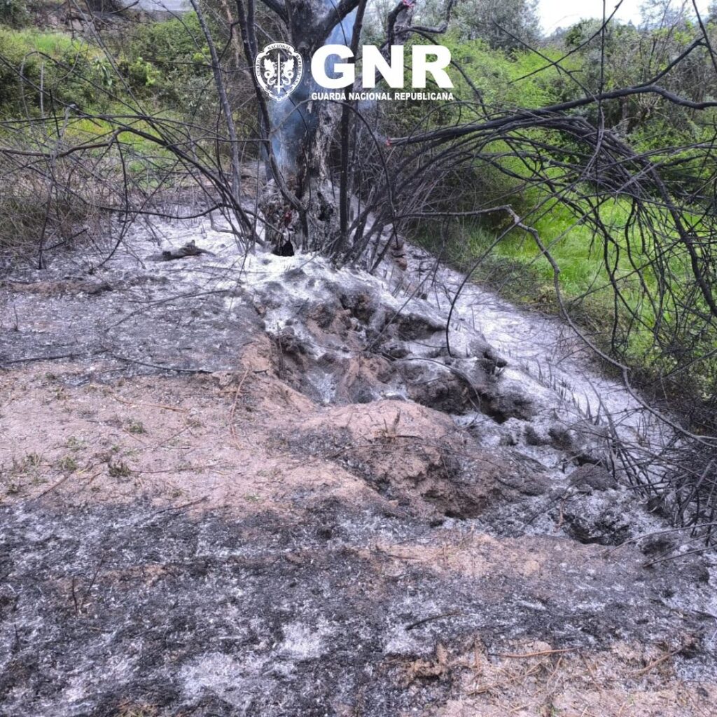 GNR deteve suspeito de incêndio florestal no concelho de Gouveia