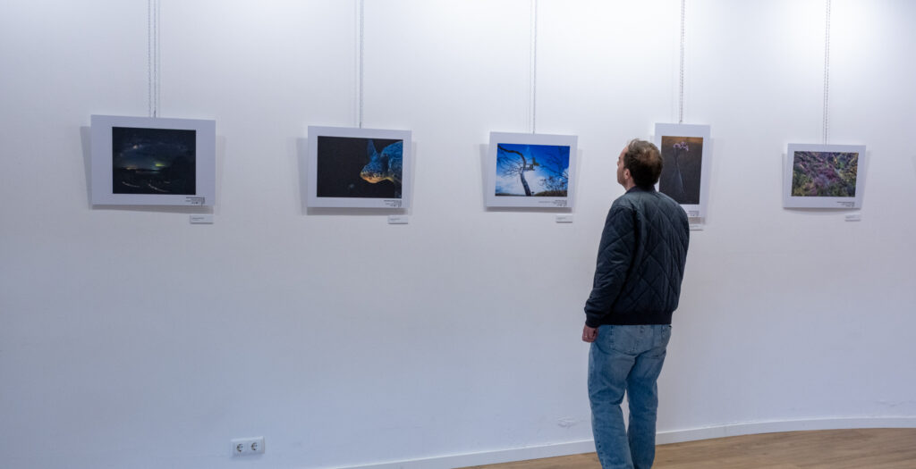 Festival Internacional de Imagem de Natureza em exposição em Manteigas