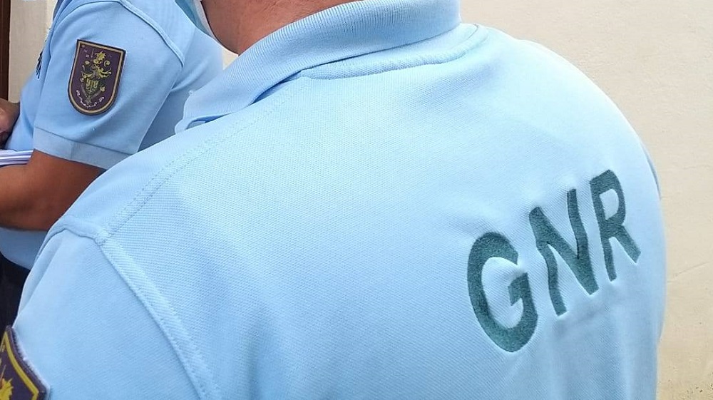 Fiscalização da GNR a explorações pecuárias de Pinhel resultou em 11 contraordenações