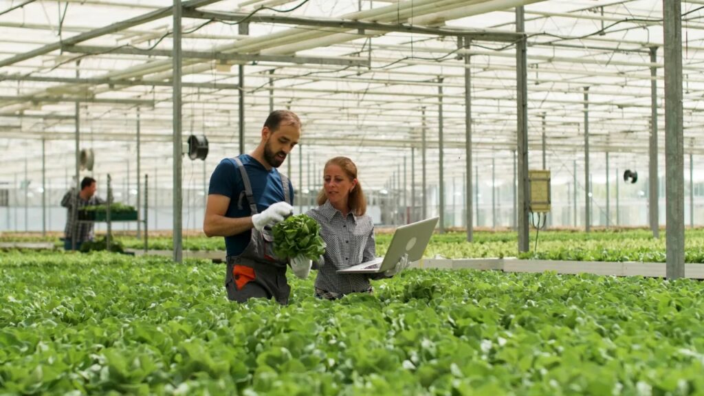 AMCB lança projeto reduzir para custos energéticos no setor agroalimentar