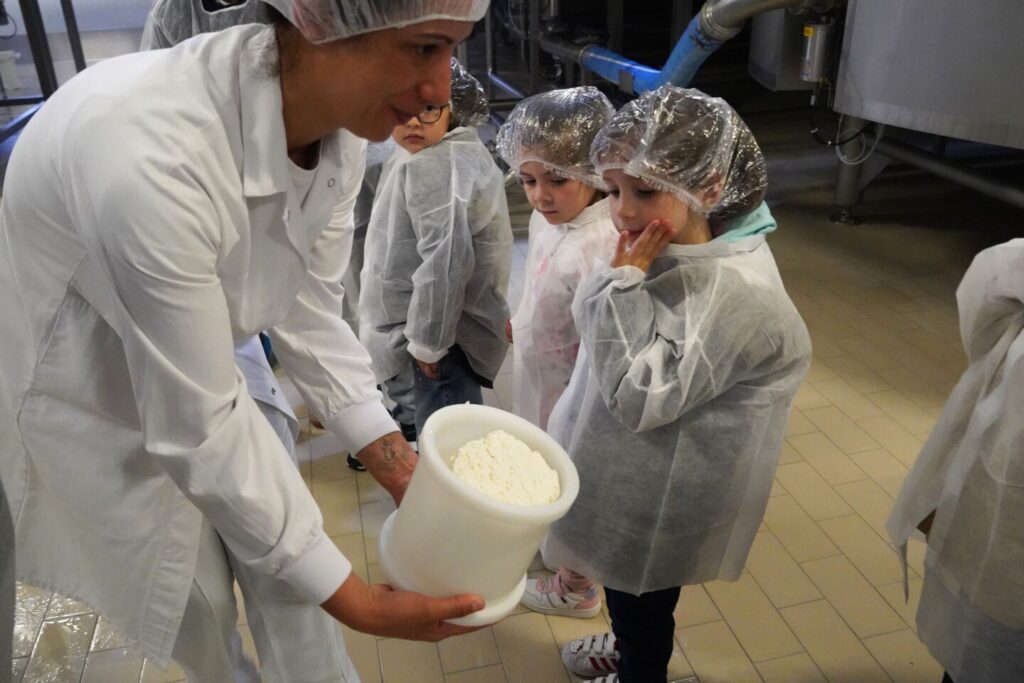 Alunos do concelho de Aguiar da Beira conhecem processo de produção do queijo em visitas educativas