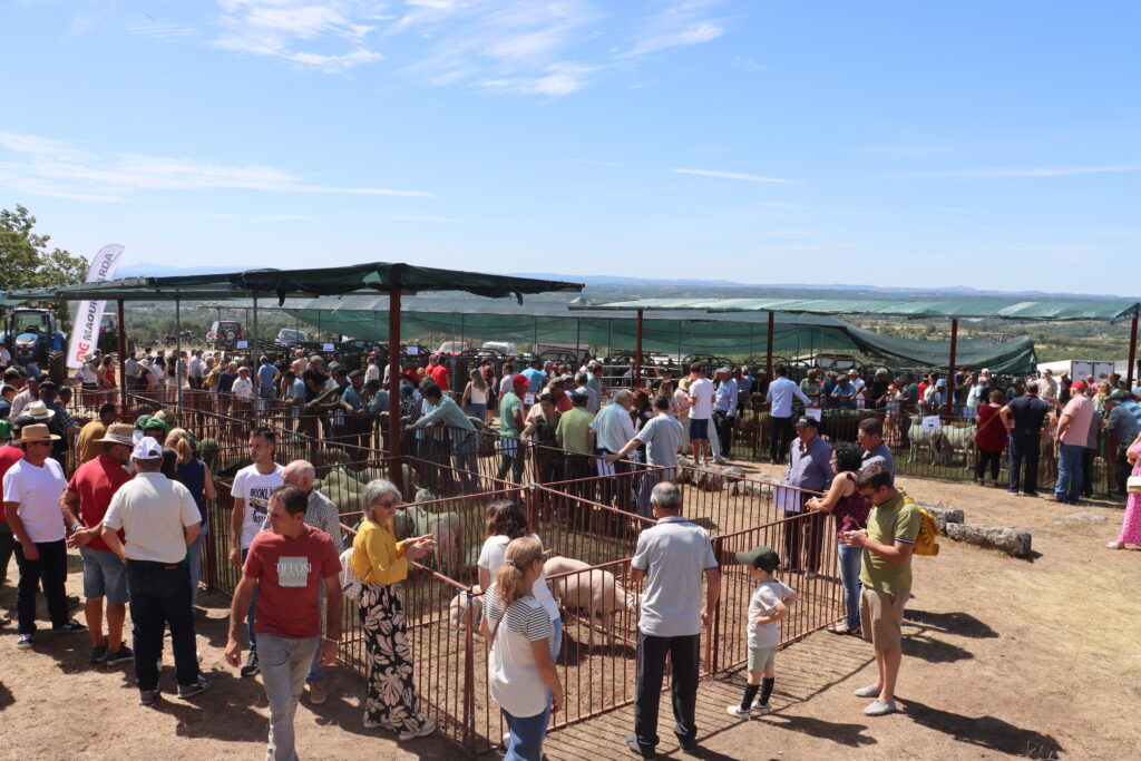 Feira do Jarmelo com centenas de visitantes