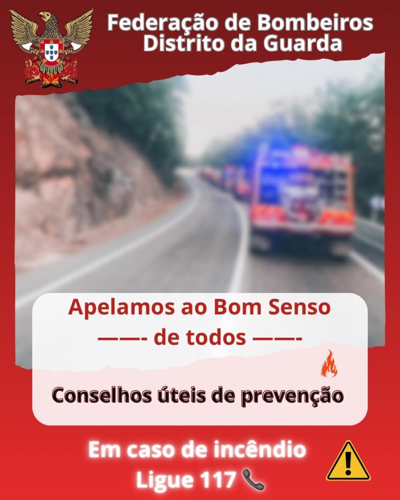 Federação de Bombeiros da Guarda pede «comportamentos responsáveis» à população por causa do calor
