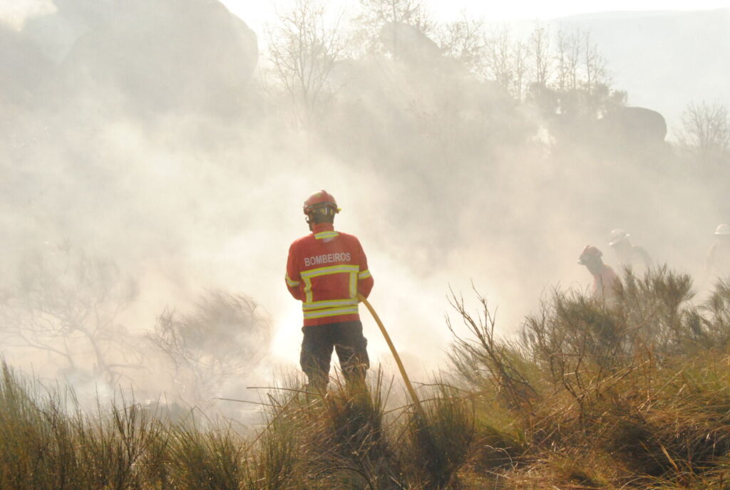 Dois detidos em Trancoso e Aguiar da Beira por incêndio florestal