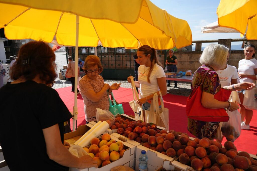 “Pêssego da Covilhã” promovido no mercado municipal da “cidade-neve” e na Feira de São Tiago