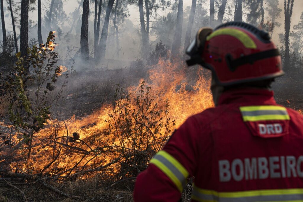 GNR deteve homem de 61 anos por provocar incêndio com motorroçadora em Aguiar da Beira