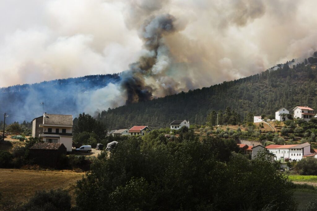 12 por cento do Plano de Revitalização da Serra da Estrela está executado ou em curso