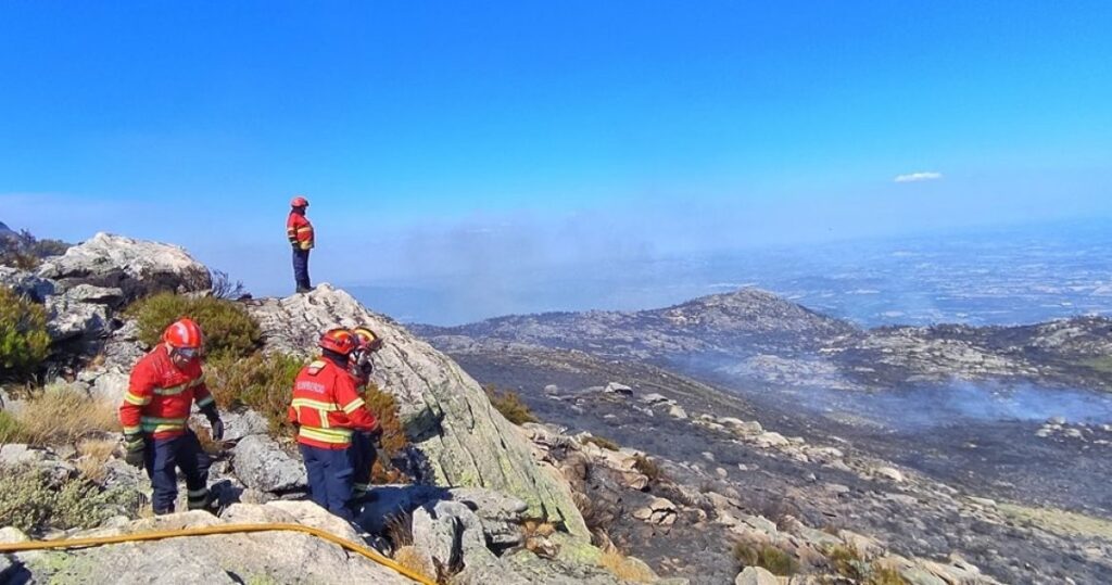 Plano de Revitalização da Serra da Estrela com 12 por cento de execução