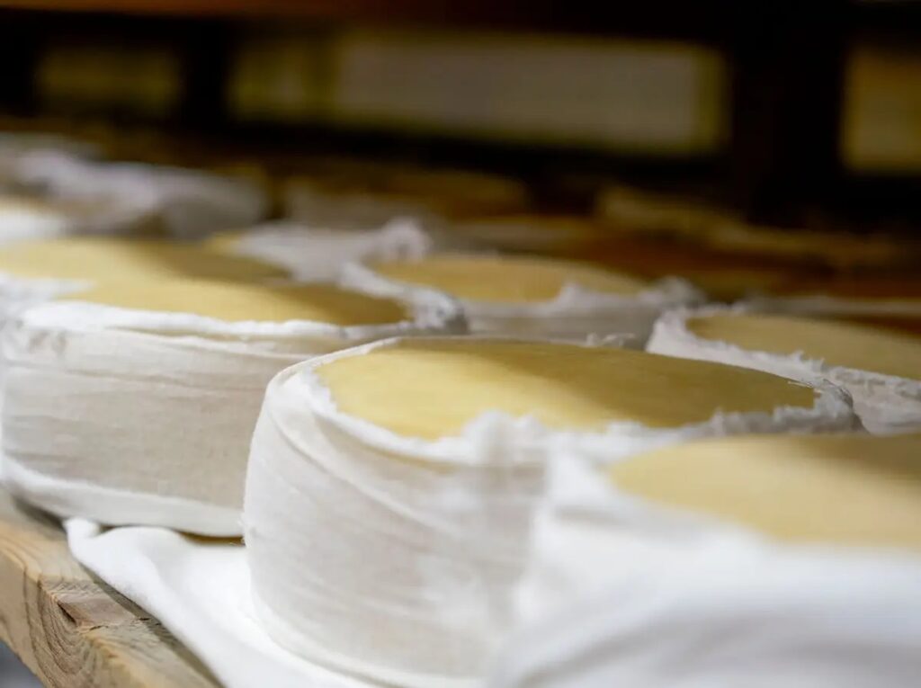 Valorização da fileira do queijo é finalista dos Prémios dos Fundos Europeus